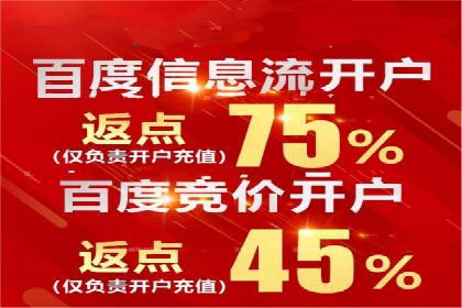 百度竞价排名实战：某行业领先企业的成功之路
